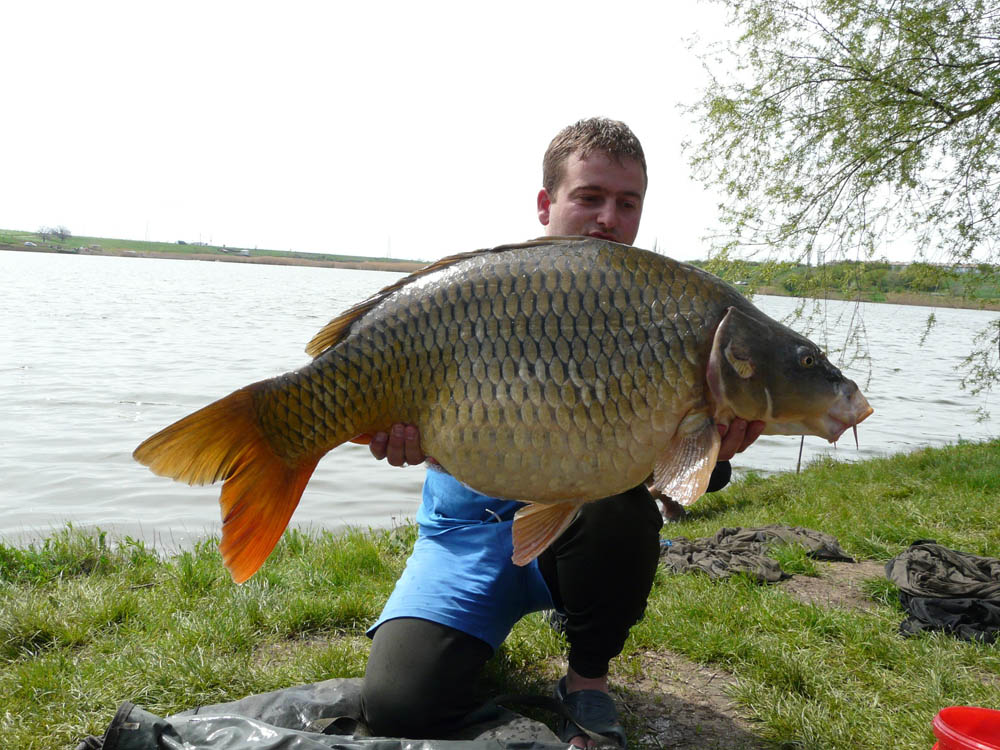 BRIGADA DIVERSE  - P1000778.JPG